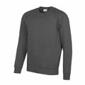 AWDis Academy's AC001 sweatshirt, featuring a gray crewneck design with long sleeves, is showcased against a white background.