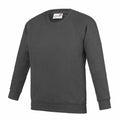 A dark gray crewneck sweatshirt with long sleeves from AWDis Academy, model AC01J, displayed on a white background.