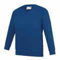 The AC01J sweatshirt by AWDis Academy is presented on a white background, showcasing its blue color with long sleeves and a round neck. It boasts a simple, classic design complemented by ribbed cuffs and waistband.