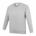 The AWDis Academy AC01J is a light gray sweatshirt featuring long sleeves and a crew neckline. Made from soft and comfortable fabric, it is ideal for casual wear. The sweatshirt is showcased against a plain white background.