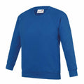 Displayed against a white background is the AC01J crewneck sweatshirt by AWDis Academy. It is plain blue with long sleeves and features ribbed cuffs, hem, and neckline.