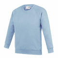 The AC01J sweatshirt by AWDis Academy features a plain light blue design with long sleeves, a round neckline, and ribbing on the cuffs and hem. The fabric looks soft and comfortable, and the sweatshirt is showcased against a white background.