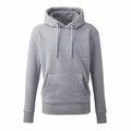 A plain gray hooded sweatshirt, featuring a front pocket and drawstrings hanging from the hood, branded as "AM001" by Anthem, displayed against a white background.