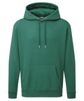 A plain green hoodie with a front pocket, drawstring hood, and long sleeves is displayed against a white background.