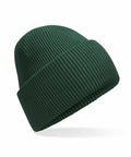 Introducing the Beechfield B385R, a stylish green ribbed knit beanie hat featuring a folded brim, displayed against a simple white backdrop.
