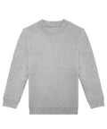 A light grey, long-sleeved crew neck sweatshirt from Sweatshirts is laid flat on a white background.