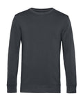 A plain, long-sleeved, dark grey crew neck sweatshirt from the Sweatshirts collection is shown against a white background. It features a simple design with no logos or patterns.