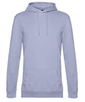 A light grey hoodie with long sleeves, a front kangaroo pocket, and hood drawstrings, shown against a white background.