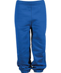 A pair of joggers in plain blue, featuring an elasticated waistband and ankle cuffs, displayed against a white background.