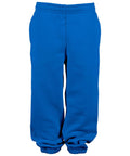 A pair of joggers in bright blue featuring an elasticated waistband and elasticated ankle cuffs, shown on a plain white background.