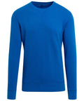 Build Your Brand's BY010 plain blue long-sleeve crew-neck sweatshirt.