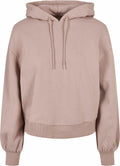 The product BY183 by Build Your Brand is a plain beige hoodie featuring a drawstring hood and long sleeves, displayed against a white background.