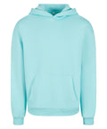 A light blue hoody with a front pocket, drawstring hood, long sleeves, and ribbed cuffs and hem, displayed against a white background.