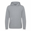 AWDis Ecologie's EA040 is a grey hooded sweatshirt featuring long sleeves and a front pocket, showcased against a plain white background.