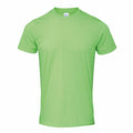 A plain, light green t-shirt, identified as product GD001 from the brand Gildan, is displayed against a white background. The shirt features short sleeves and a round neckline.