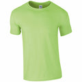 A plain, light green short-sleeved T-shirt from the Gildan brand, model GD001, is displayed against a white background. It features a classic crew neck design.