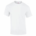 Gildan's GD002 is a white short-sleeve t-shirt displayed against a plain background. This wrinkle-free t-shirt showcases a classic crew neck design.