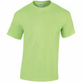 A GD005 T-shirt by Gildan in light green displayed on a white background.