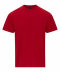 A Gildan GD024 plain red T-shirt featuring short sleeves and a crew neckline is displayed against a white background.