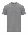 The GD024 by Gildan is a plain gray t-shirt with short sleeves and a crew neckline, set against a white background.