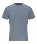 The GD024 T-shirt by Gildan features a plain, light gray design with a crew neck and short sleeves. It is showcased on a white background, emphasizing its minimalist and casual style.