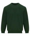 A Gildan GD066 plain dark green pullover sweatshirt featuring long sleeves and a crew neck.