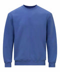 A plain blue, long-sleeved crew neck sweatshirt from Gildan's GD066 line. The fabric looks soft and comfortable, featuring ribbed cuffs and hem. It's displayed against a plain white background.