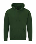 The GD067 by Gildan is a plain green hoodie featuring a front pocket and drawstrings, showcased against a white background.