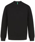 The Henbury HB840 is a plain crewneck sweatshirt in black with long sleeves.