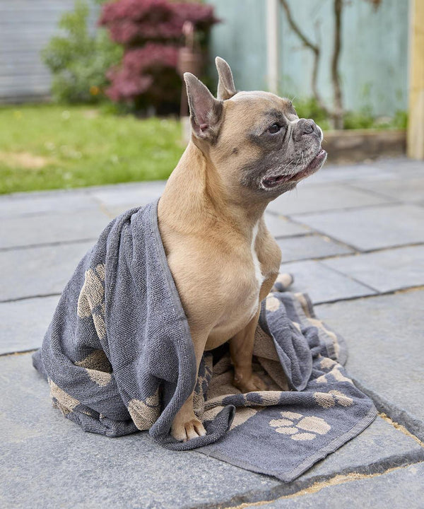 A small dog with light brown and white fur sits on grey stone tiles, partially wrapped in the Home & Living Jumbo terry jacquard dog towel featuring a paw print pattern. The scene includes grass, a wooden fence, and plants in the background.
