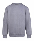 A light grey sweatshirt crew neck with long sleeves, ribbed cuffs, and a ribbed hem, shown on a white background.