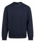 A navy blue, long-sleeve crew neck sweatshirt from Sweatshirts shown on a white background. Features include ribbed collar, cuffs, and hem with a plain design and no visible logos.