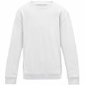 A laid-flat, long-sleeve crewneck sweatshirt in plain white from AWDis Just Hoods, product name JH30J.