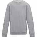 The JH30J by AWDis Just Hoods is a gray crewneck sweatshirt featuring long sleeves and a minimalist design. Made from soft and comfortable fabric, it is perfect for casual wear. The sweatshirt is presented against a white background.