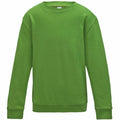 A vibrant green JH30J long-sleeve crewneck sweatshirt from AWDis Just Hoods is showcased against a white background. The design is minimalist and unembellished, highlighting ribbed cuffs and hem, as well as a relaxed and comfortable fit.
