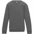The JH30J sweatshirt from AWDis Just Hoods features a plain dark gray crew neck design with long sleeves, presented on a white background. It boasts a simple, classic look with ribbed cuffs and waistband.
