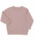 The Larkwood LW800 is a light pink toddler sweatshirt featuring long sleeves and two snap buttons on one shoulder for easy wear. Its simple and classic design makes it ideal for casual outfits.
