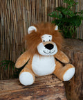 MM569 by Mumbles, with a fluffy mane and white snout, sitting on a wooden log, with a bamboo backdrop and green foliage in the background.