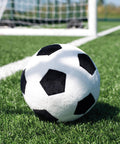 The Mumbles Zippie football, a black and white football, rests on green artificial turf near a white line, with a goal net in the background.