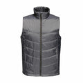 Introducing the RG113 by Regatta Professional, a sleeveless puffer vest in dark gray featuring a high collar and front zipper closure. The vest boasts a quilted pattern with horizontal stitching and a smooth, shiny finish.