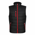 The RG340 by Regatta Professional is a black sleeveless puffer vest with striking red zippers. It offers functionality with three pockets: one on the chest and two on the sides.