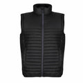 The RG357 by Regatta Honestly Made is a black quilted vest featuring a zippered front and stand collar, showcased against a white background.
