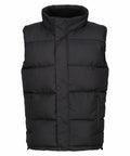 A product from Regatta Professional, the RG586, is a black puffer vest featuring a high collar and two front pockets.