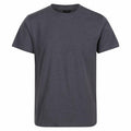 The RG618 by Regatta Professional is a plain dark gray T-shirt displayed on a white background, shown from the front. It features short sleeves and a round neckline, without any visible logos or designs.