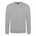The RX301, a gray crewneck sweatshirt from ProRTX, features long sleeves and is showcased against a plain white background. The fabric looks soft, showcasing a simple and classic design.