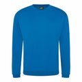 The RX301 by ProRTX is a plain blue crew-neck sweatshirt with long sleeves. Made from soft and comfortable fabric, it boasts a casual, relaxed fit and includes a small label at the neck.
