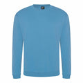 The RX301 long-sleeve sweatshirt by ProRTX, featuring a plain light blue design and a crew neck, is displayed against a white background.