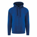 RX350 by ProRTX: A blue hoodie featuring a front pocket and drawstring hood, showcased against a white background. This long-sleeved hoodie comes in a simple, solid color design.