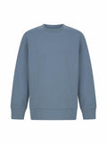 The SF Minni SM530 is a plain light blue sweatshirt featuring long sleeves and a round neckline, displayed against a white background.