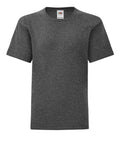 A Fruit of the Loom SS023 gray short-sleeve t-shirt showcased against a white background.